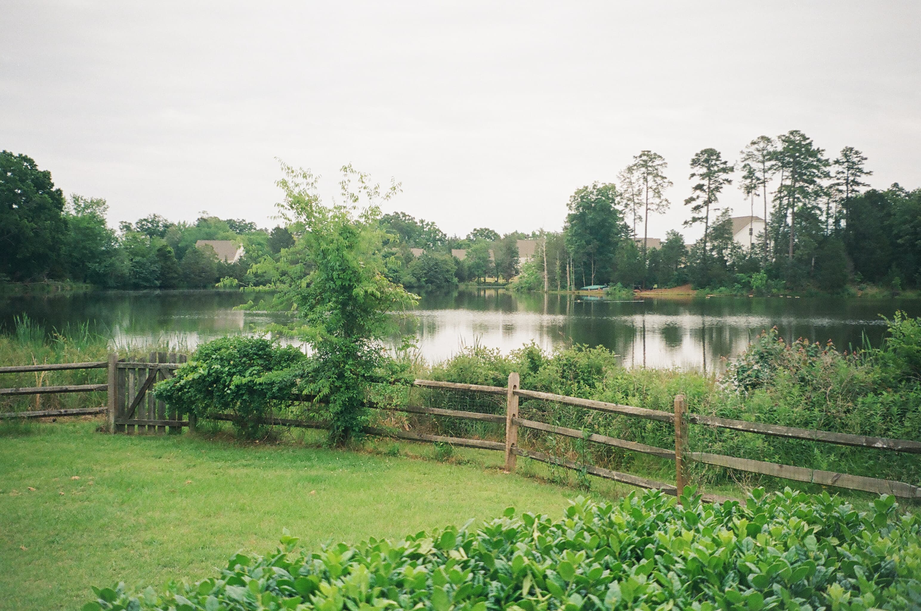 Site background